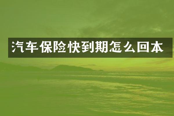 汽车保险快到期怎么回本