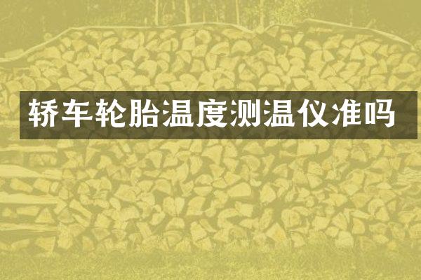 轿车轮胎温度测温仪准吗