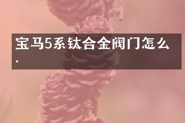 宝马5系钛合金阀门怎么样