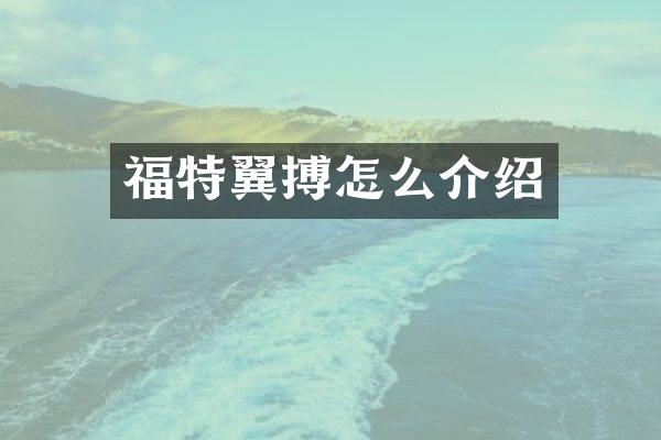 福特翼搏怎么介绍