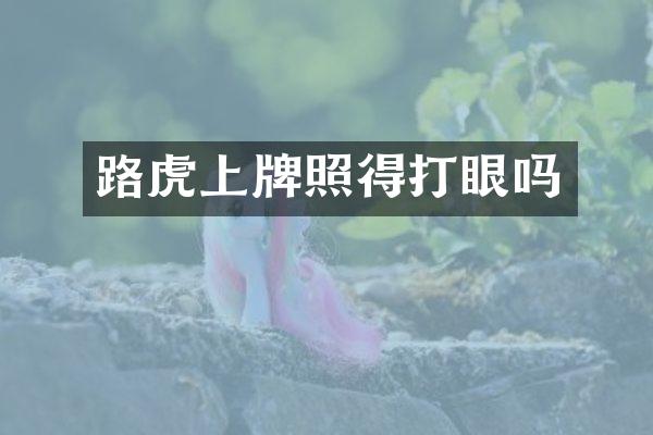 路虎上牌照得打眼吗