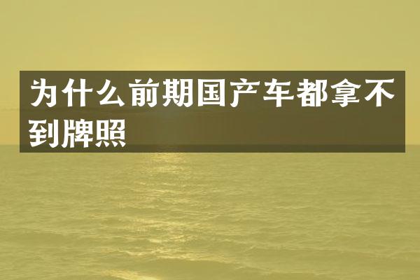 为什么前期国产车都拿不到牌照