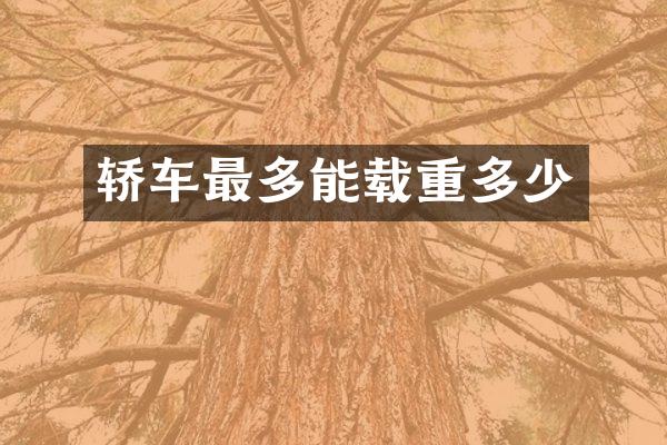 轿车最多能载重多少
