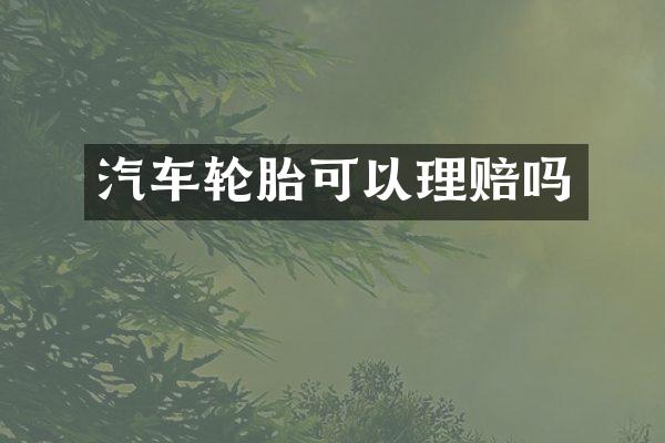 汽车轮胎可以理赔吗