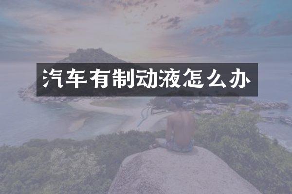汽车有制动液怎么办
