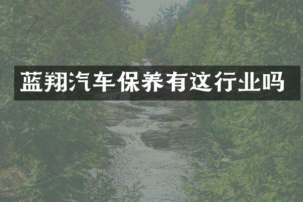 蓝翔汽车保养有这行业吗
