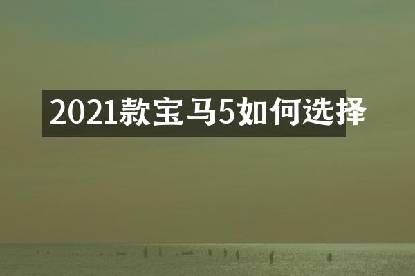 2021款宝马5如何选择