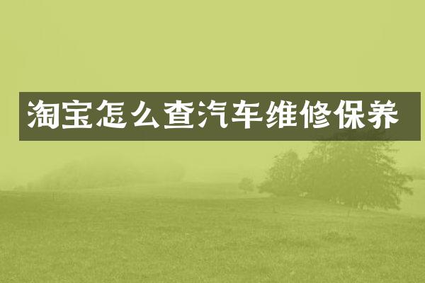 淘宝怎么查汽车维修保养