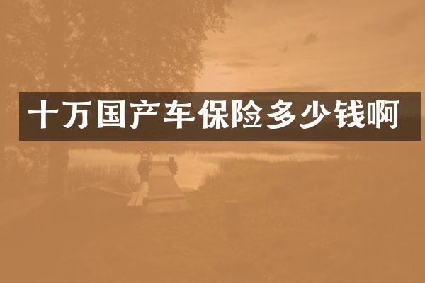 十万国产车保险多少钱啊