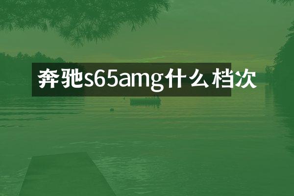 奔驰s65amg什么档次