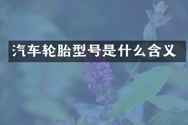 汽车轮胎型号是什么含义