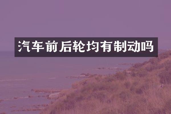 汽车前后轮均有制动吗