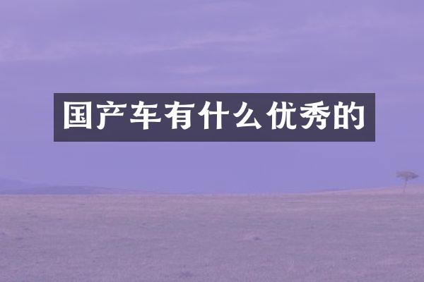 国产车有什么优秀的