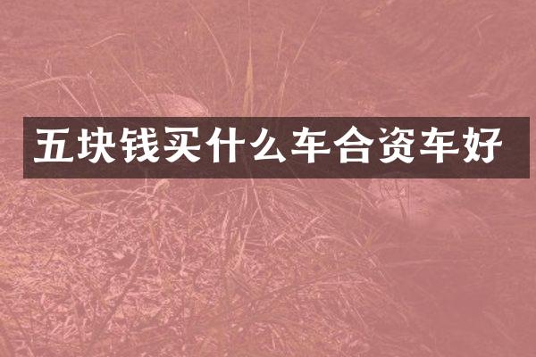 五块钱买什么车合资车好