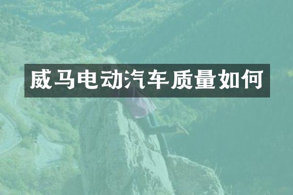 威马电动汽车质量如何
