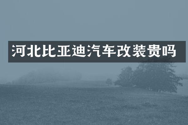 河北比亚迪汽车改装贵吗