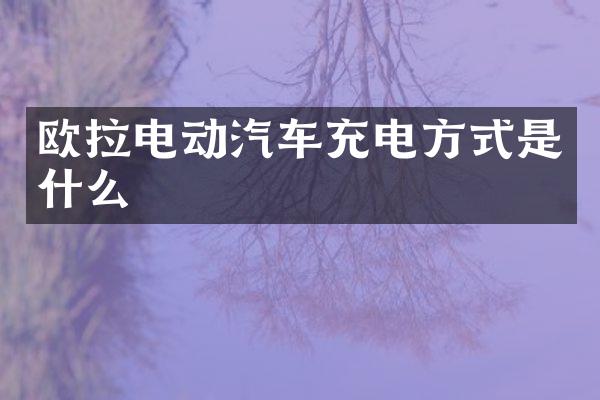 欧拉电动汽车充电方式是什么