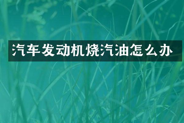 汽车发动机烧汽油怎么办