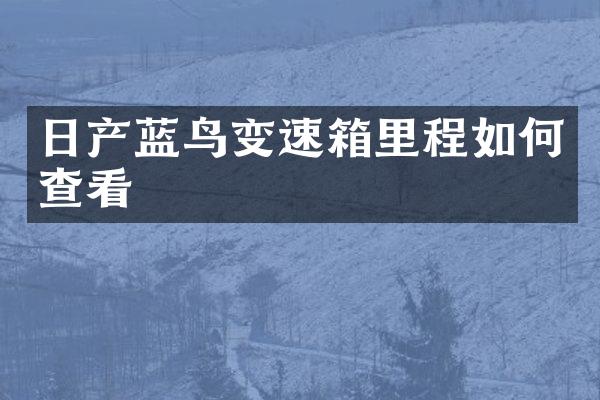 日产蓝鸟变速箱里程如何查看
