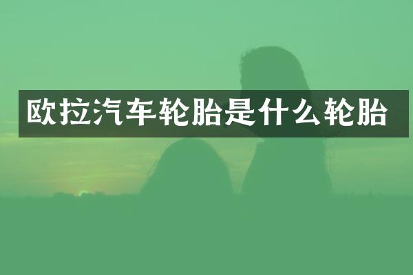 欧拉汽车轮胎是什么轮胎