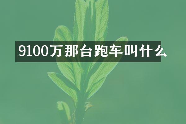 9100万那台跑车叫什么