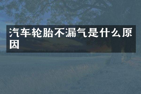 汽车轮胎不漏气是什么原因