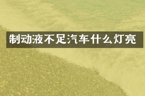 制动液不足汽车什么灯亮