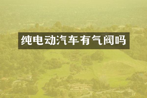 纯电动汽车有气阀吗