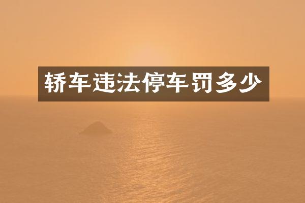 轿车违法停车罚多少