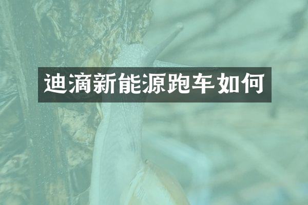 迪滴新能源跑车如何
