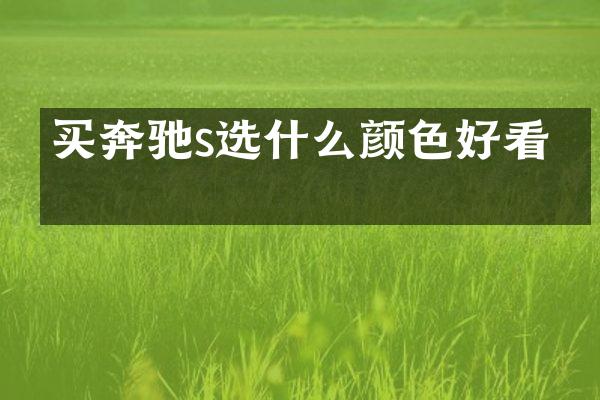 买奔驰s选什么颜色好看吗