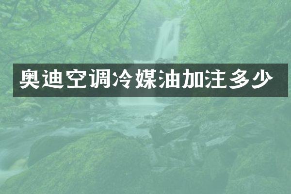 奥迪空调冷媒油加注多少