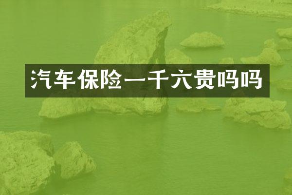 汽车保险一千六贵吗吗
