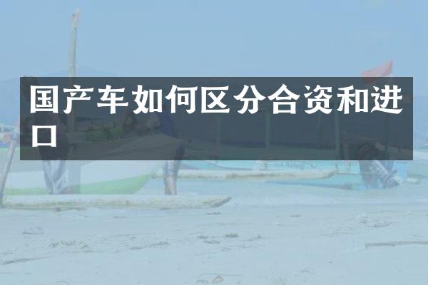 国产车如何区分合资和进口