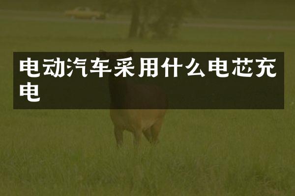 电动汽车采用什么电芯充电