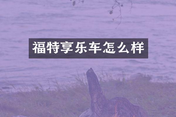 福特享乐车怎么样