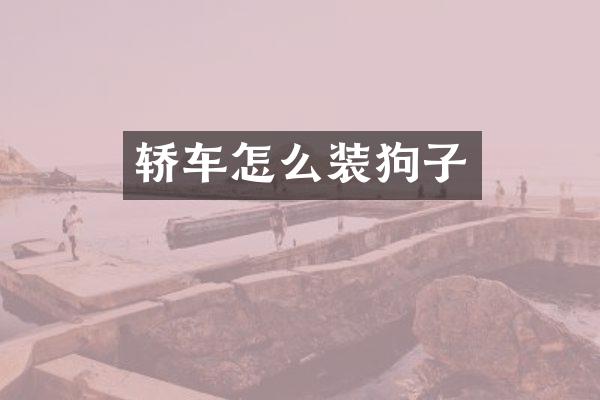 轿车怎么装狗子