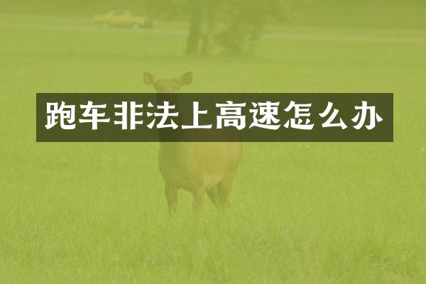 跑车非法上高速怎么办
