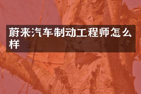 蔚来汽车制动工程师怎么样