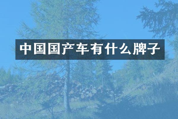 中国国产车有什么牌子