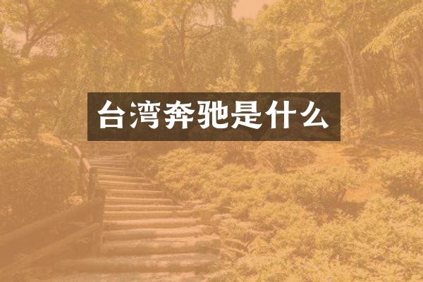 台湾奔驰是什么