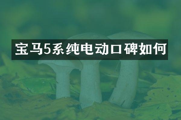 宝马5系纯电动口碑如何
