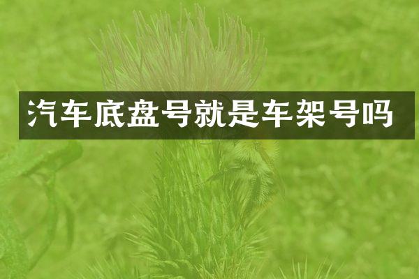 汽车底盘号就是车架号吗