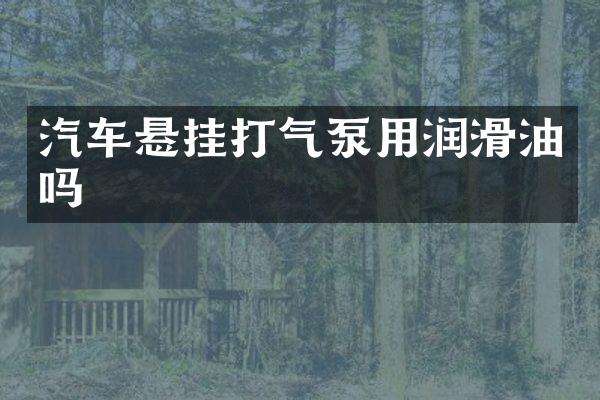 汽车悬挂打气泵用润滑油吗