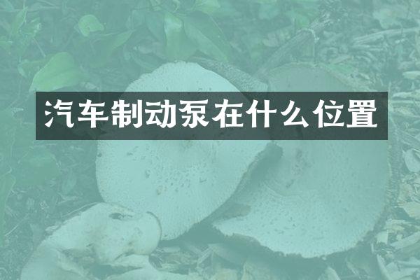 汽车制动泵在什么位置
