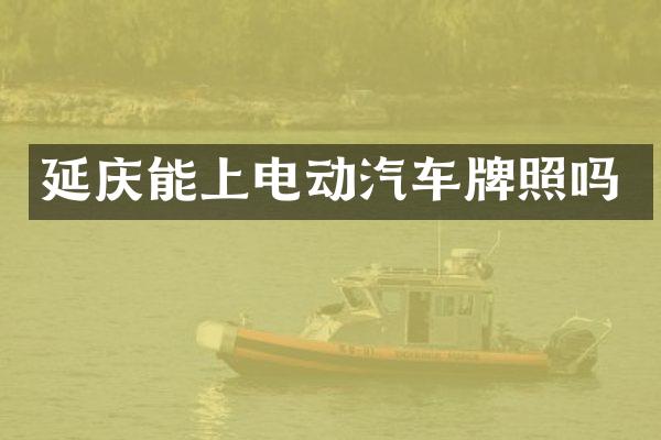 延庆能上电动汽车牌照吗