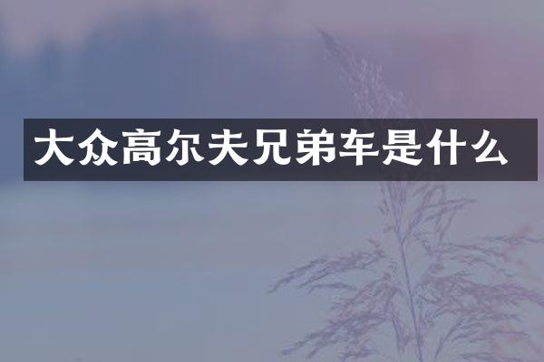 大众高尔夫兄弟车是什么