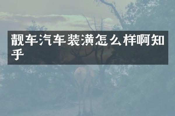 靓车汽车装潢怎么样啊知乎