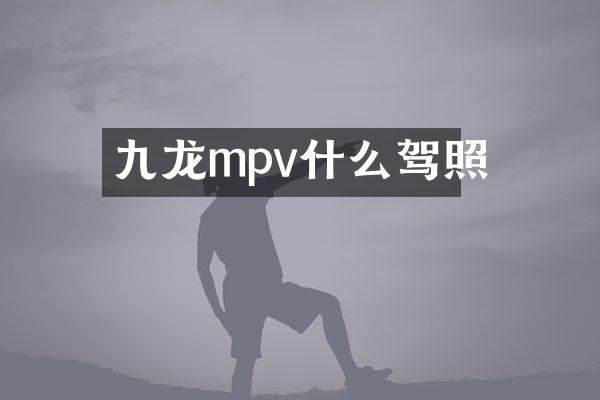 九龙mpv什么驾照