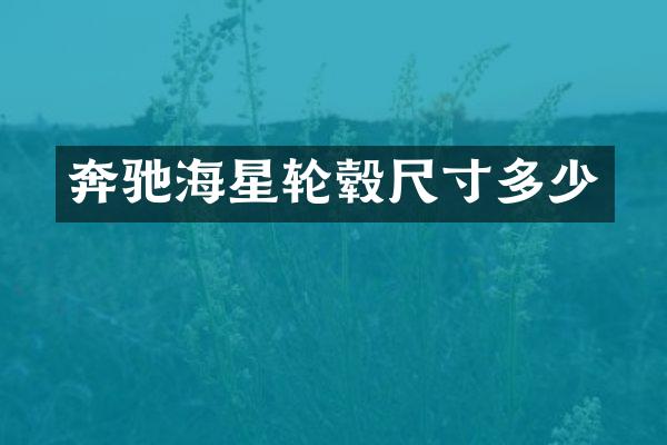 奔驰海星轮毂尺寸多少